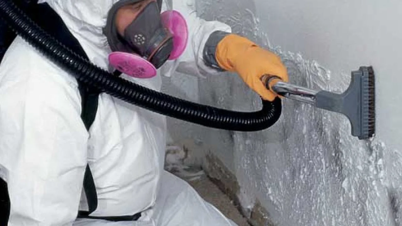 Easy, Two-Ingredient Pulled Pork