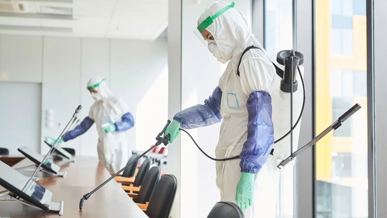 Easy, Two-Ingredient Pulled Pork